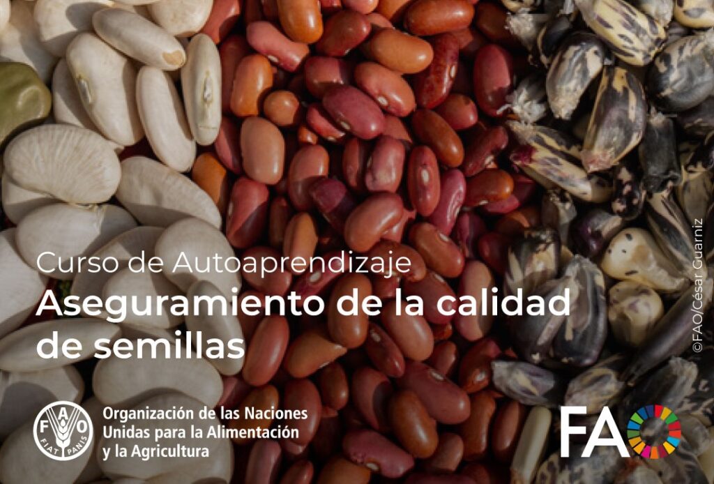 Cours gratuit de la FAO : assurance de la qualité des semences