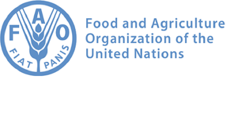 Emploi disponible à la FAO – Organisation des Nations Unies pour l’alimentation et l’agriculture – 23 juillet 2026)
