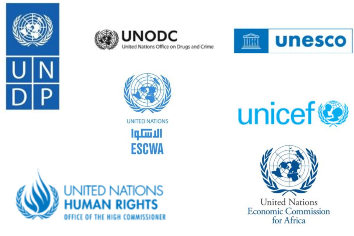 Formation en ligne gratuite du PNUD, de l'ONUDC, du HCDH, de l'UNESCO, de l'UNECA et de l'UNESCWA pour travailler dans les ONG
