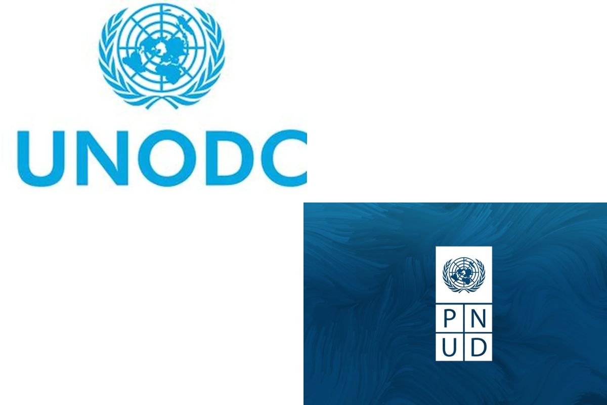 Formation gratuite en ligne du PNUD et de l'ONUDC