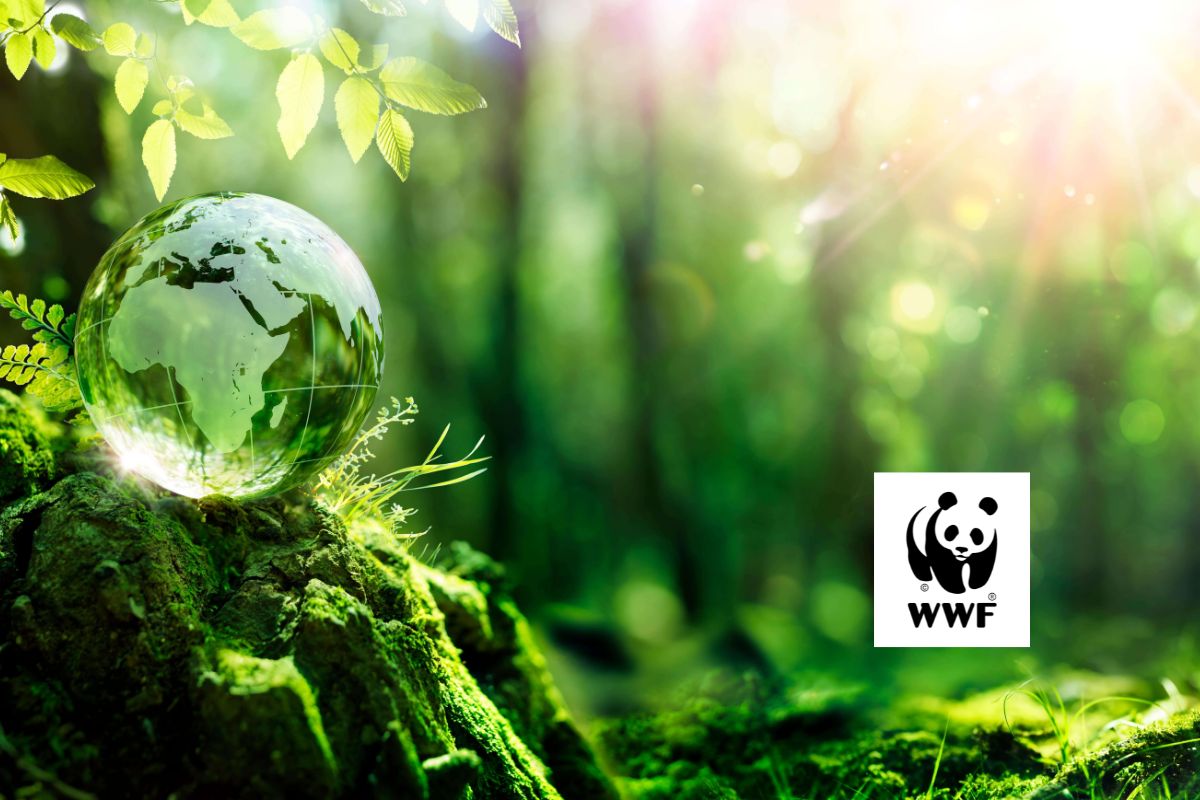 Le Fonds mondial pour la nature (WWF) recrute un stagiaire – 24 juillet 2026