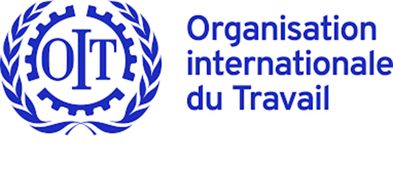 Offre d’emploi à l’Organisation Internationale du Travail (OIT) – 17 juillet 2026