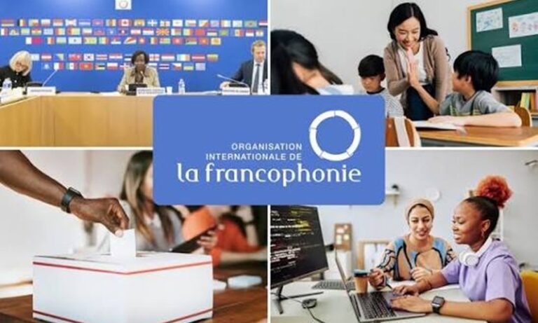 Programme de bourses de la CEA et de l’OIF à l’intention de jeunes traductrices et traducteurs africains