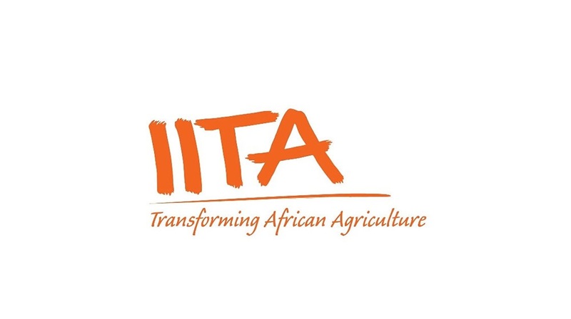 RECRUTEMENT DE STAGIAIRES DIPLÔMÉS à l’Institut international d’agriculture tropicale (IITA) (08 Juillet 2026)