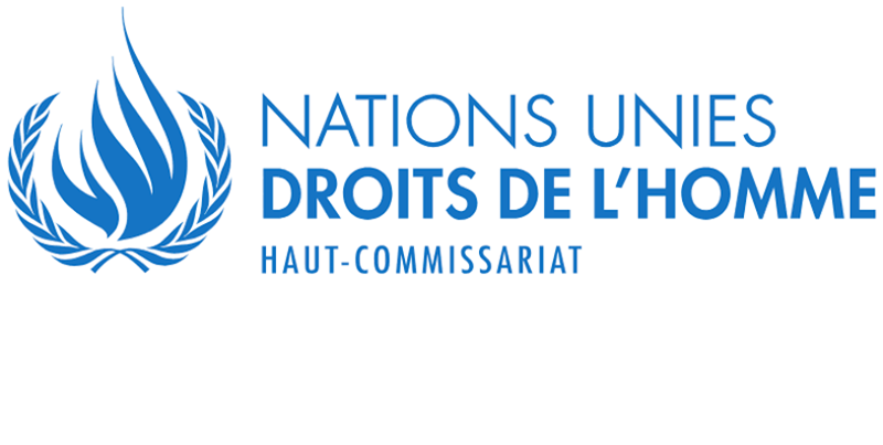 RECRUTEMENT DE STAGIAIRES au Haut-Commissariat des Nations Unies aux droits de l’homme (HCDH) : postulez