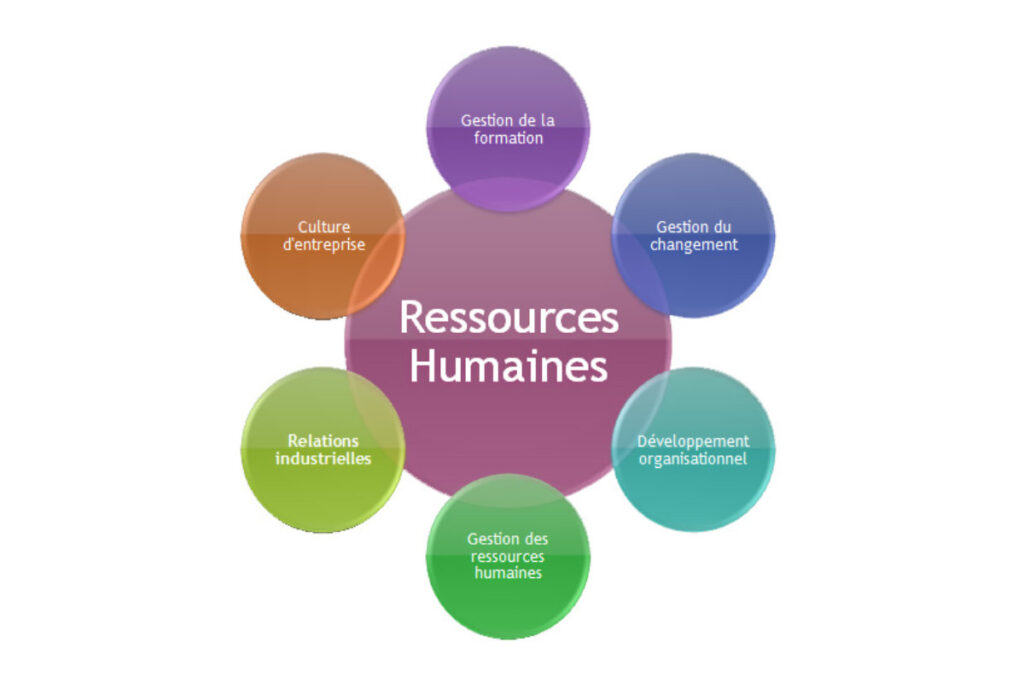 Ressources Humaines formation en ligne ouverte à tous qui booste le CV