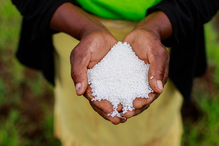 Togo : la PIA a exporté 2.600 tonnes d’engrais vers le Congo-Brazzaville et le Burkina Faso