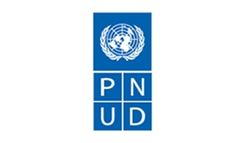 Travail à domicile : le PNUD recrute un.e Volontaire – 29 juillet 2026