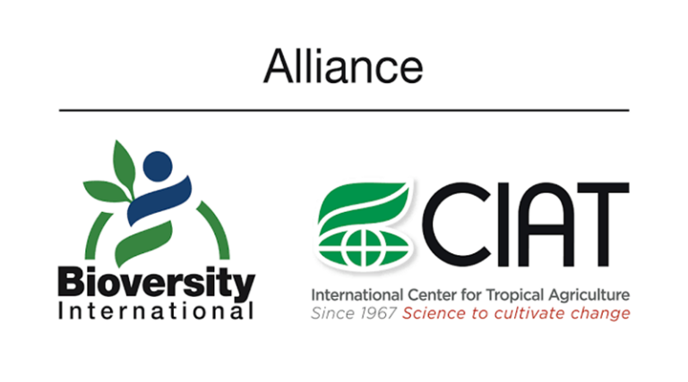 Bourses de Doctorat du Centre international d’agriculture tropicale (CIAT) : appel à candidatures