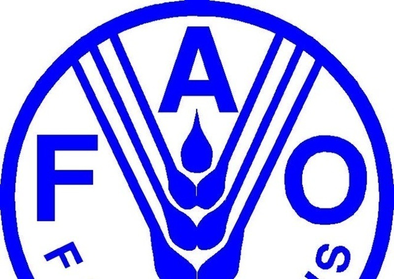 Candidatures ouvertes : Recrutement de 1000 volontaires par la FAO – 19 août 2026