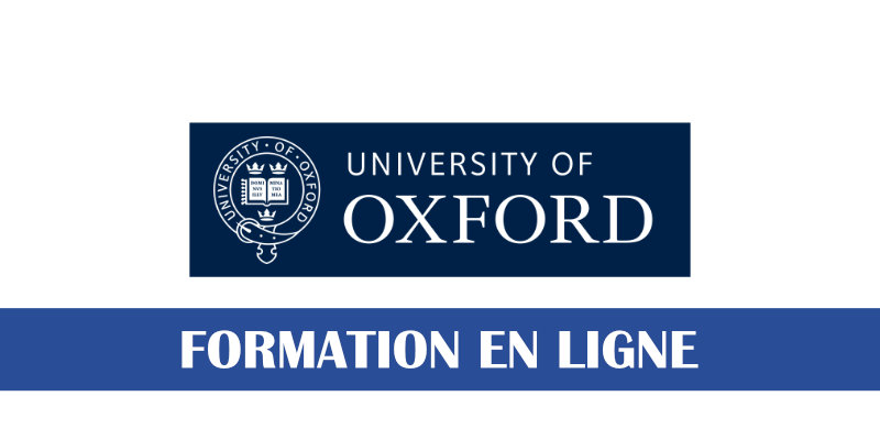 Entreprenariat l'Université d'Oxford offre une formation en ligne certifiante