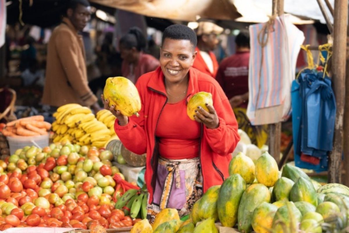 Jeunes agronomes : 5 000 dollars de financement pour vos projets agroalimentaires en Afrique de l’Ouest
