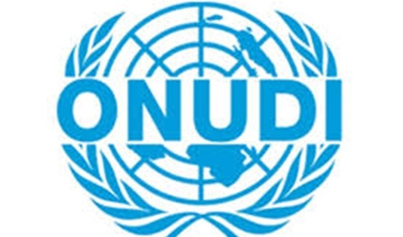 L’Organisation des Nations Unies pour le Développement Industriel (ONUDI) recrute – 14 août 2026