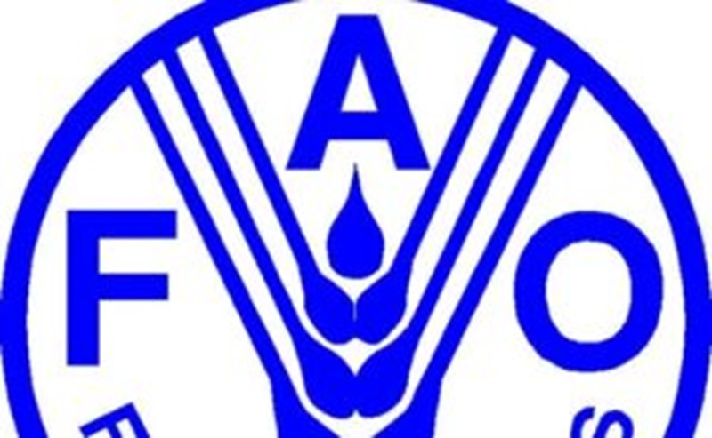 La FAO – Organisation des Nations Unies pour l’alimentation et l’agriculture recrute – 10 août 2026)