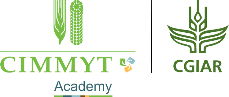 Le CIMMYT, Centre International d’Amélioration du Maïs et du Blé recrute 22 Août 2026