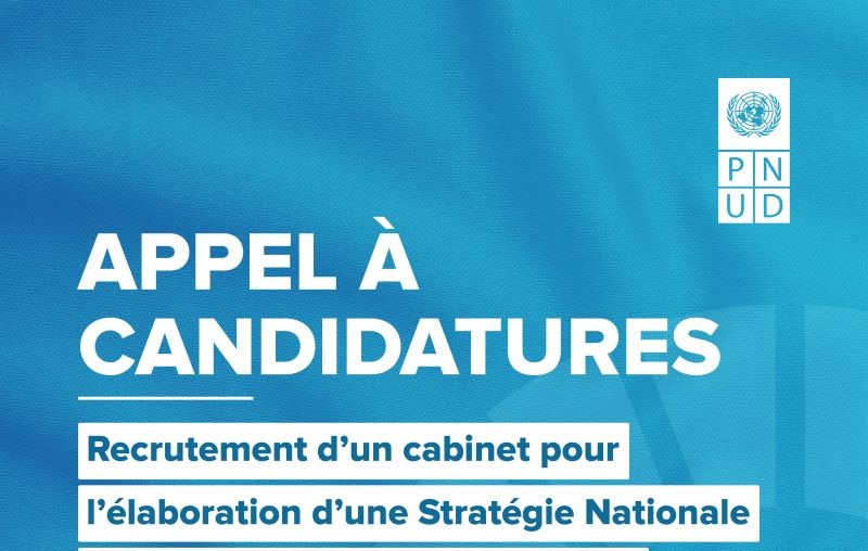 Le PNUD recrute un cabinet pour l’élaboration d’une stratégie – 24 Août 2026