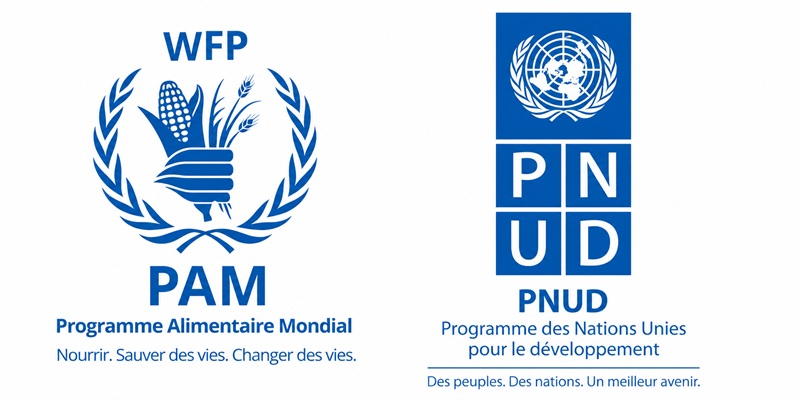 Mission de Volontariat au Bureau du PAM et du PNUD : Candidatez – 29 août 2026