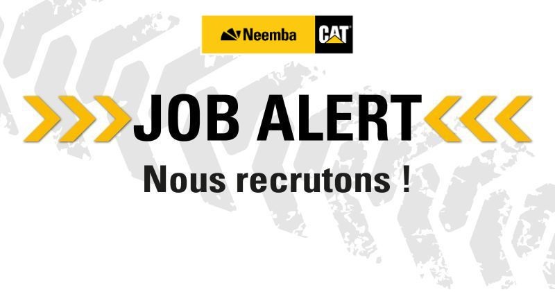 Offre de stage à Neemba Togo – 11 Août 2026