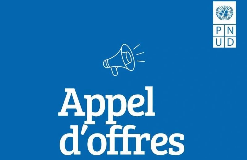Appel d’offres du PNUD, Programme des Nations Unies pour le Développement – 18 août 2026