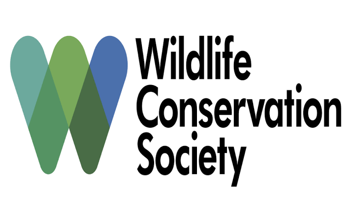 Poste à pourvoir à l’ONG Wildlife Conservation Society WCS – 18 août 2026