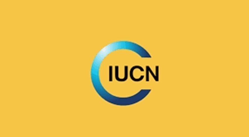 Poste à pourvoir à l’organisation Internationale UICN – 30 août 2026