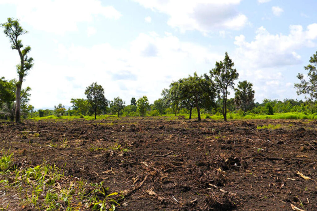 Potentiel agricole de la RDC le géant qui doit encore se nourrir