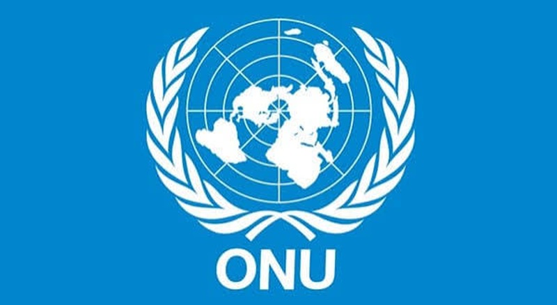 Programme VNU : ONU Volontaires recrute pour ces 4 postes – 11 août 2026