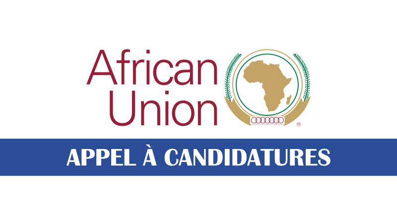 Programme de bourses Enterprise Africa Network (EAN) de l'Union Africaine lancé