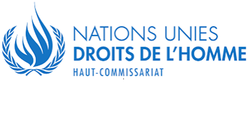 Programme de bourses pour les autochtones Haut-Commissariat aux droits de l’homme du HCDH 2027