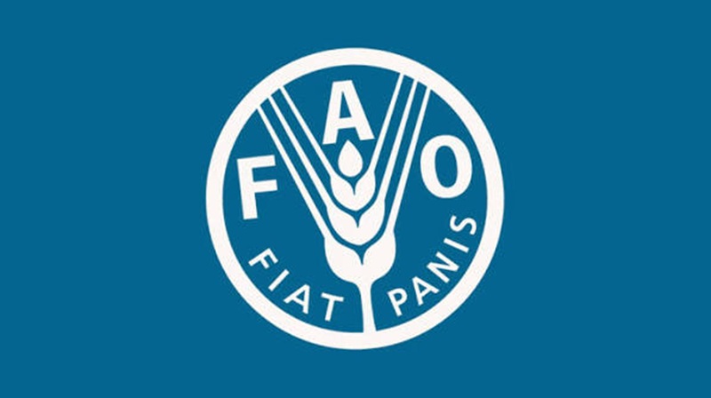 Programme de volontariat exclusif de la FAO – 15 Août 2026