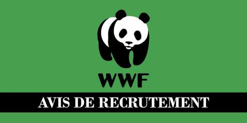 Stages qualifiants entièrement financé du Fonds mondial pour la nature (WWF) : postulez