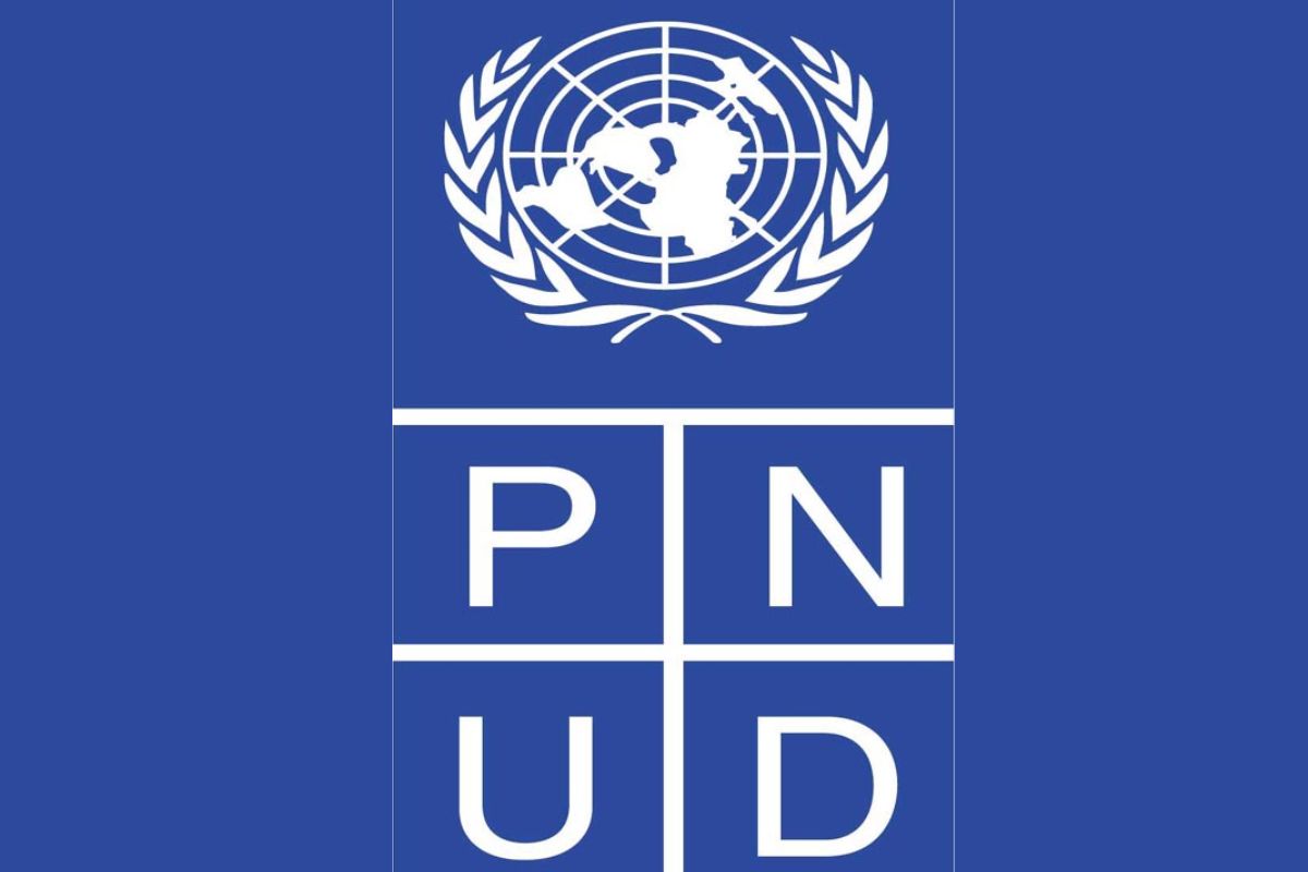 Travaillez pour les Nations Unies en candidatant pour ce nouveau poste au PNUD – 04 août 2026