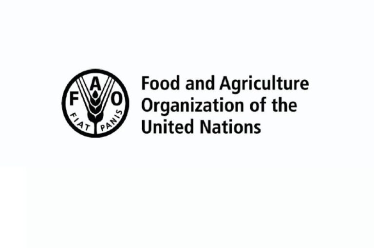 3 cours en ligne de la FAO pour renforcer l’impact de vos projets ruraux