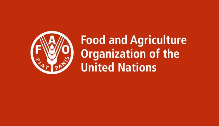 10 Cours en ligne gratuits de la FAO pour travailler dans les ONG de protection de l’enfance